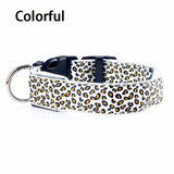 Leopard LED  Collar