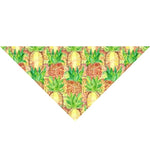 Fruit Pattern - happy pawpets