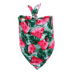 Fruit Tropical Bandanas Scarf - happy pawpets