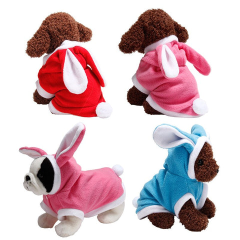 Cat Easter Bunny Outfit - happy pawpets