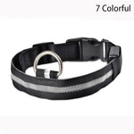 Leopard LED  Collar