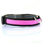 Leopard LED  Collar