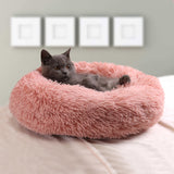 Sleeping Basket Bed