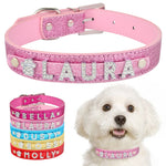 Personalized  Collar