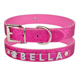 Personalized  Collar