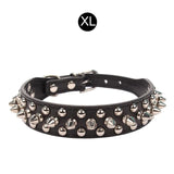 Spiked Collar