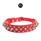 Spiked Collar