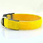 Adjustable LED Dog Collar