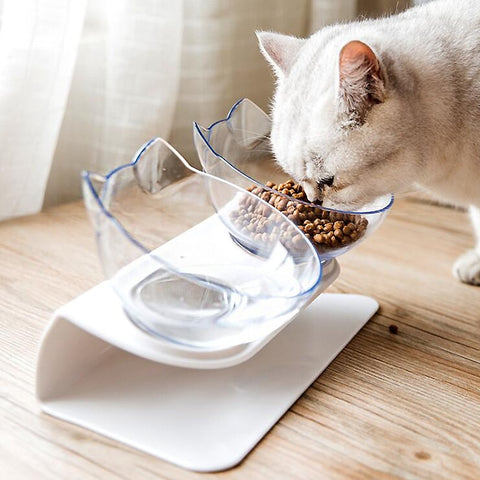 Non-Slip Double pets Bowl