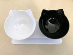 Non-Slip Double pets Bowl