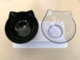 Non-Slip Double pets Bowl