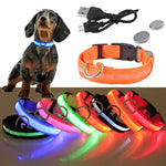 LED Glowing Collar