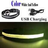 LED Glowing Collar