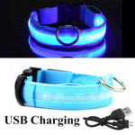 LED Glowing Collar