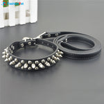 Dog Spikes Studded Collar& Leash Set - happy pawpets