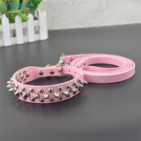 Dog Spikes Studded Collar& Leash Set - happy pawpets