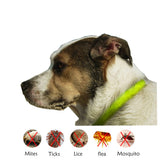 Flea & Tick Collar - happy pawpets