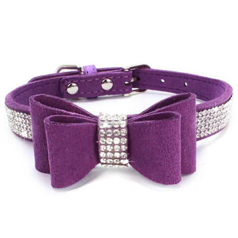 Small Dog Collar - happy pawpets