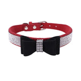 Small Dog Collar - happy pawpets