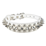 Pets Spiked  Studded Collar - happy pawpets