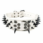 Spiked  Dog Collar - happy pawpets