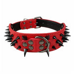 Spiked  Dog Collar - happy pawpets