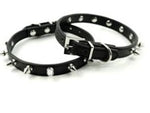 Spiked Dogs Collar - happy pawpets