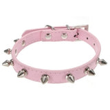 Spiked Dogs Collar - happy pawpets