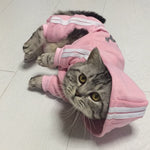 Fashion Cat Clothes - happy pawpets