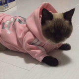 Fashion Cat Clothes - happy pawpets