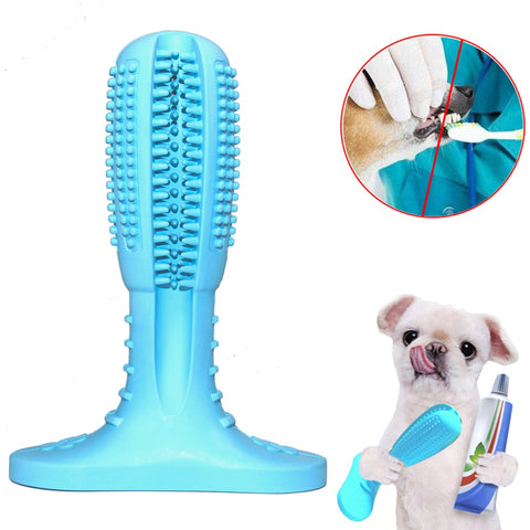 Dogs Toothbrush  Stick - happy pawpets