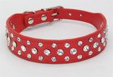 Rhinestone Collars For Small Dogs - happy pawpets