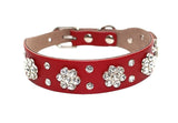 Rhinestone Collars For Small Dogs - happy pawpets